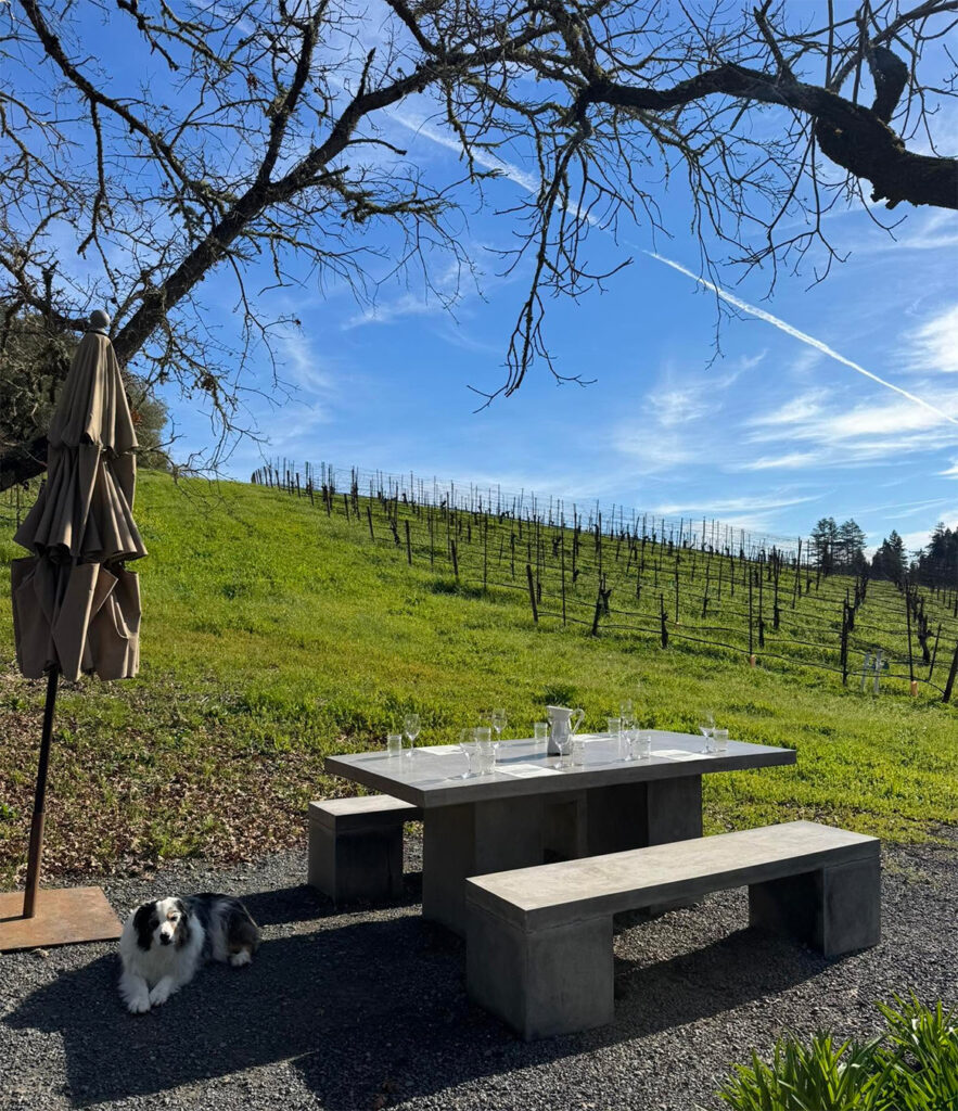 portercreekvineyards7 883x1024