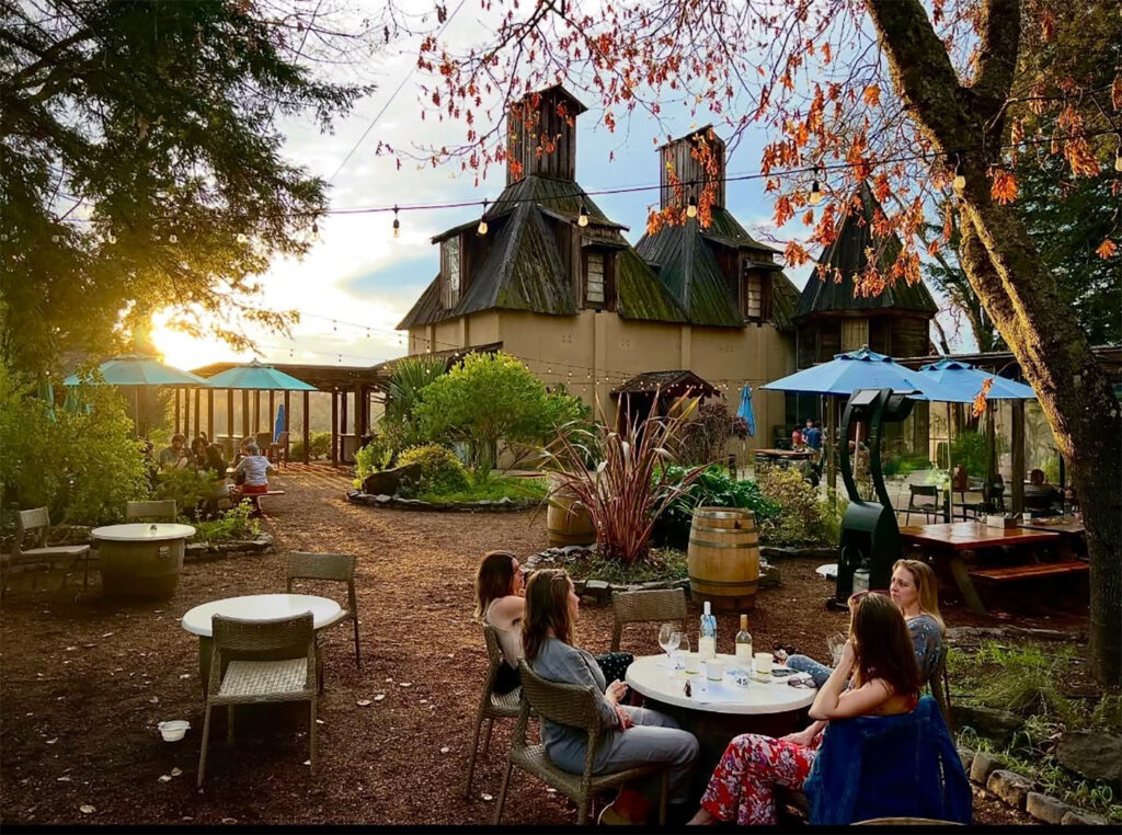russianrivervineyards8 1024x762