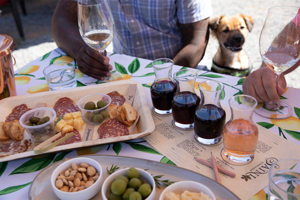 sainivineyards6 1024x683