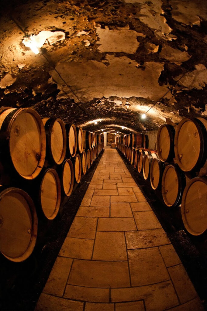 schugwinery6 681x1024