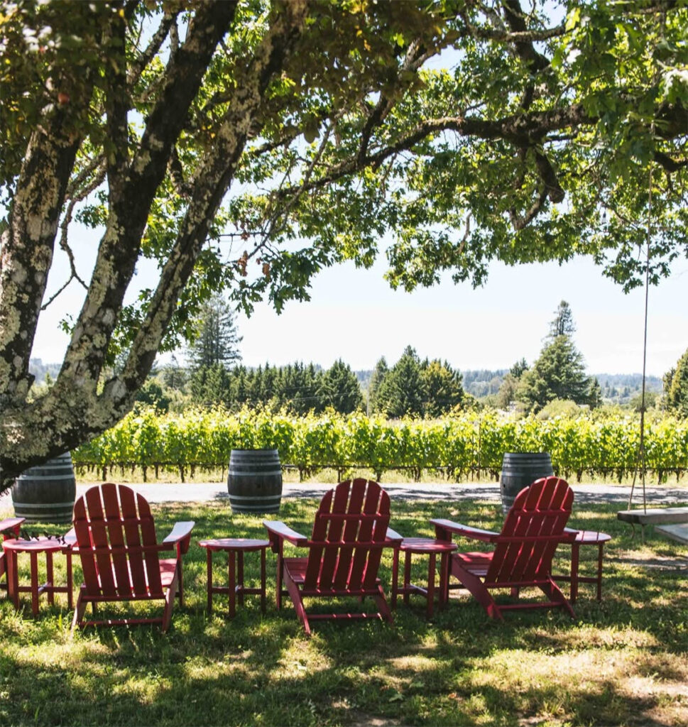 smallvineswines2 969x1024