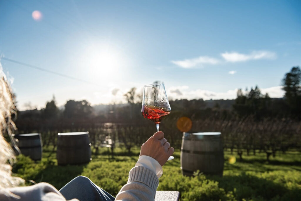 smallvineswines8 1024x683