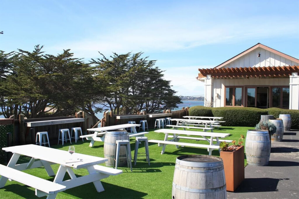 sonomacoastvineyards2 1024x683
