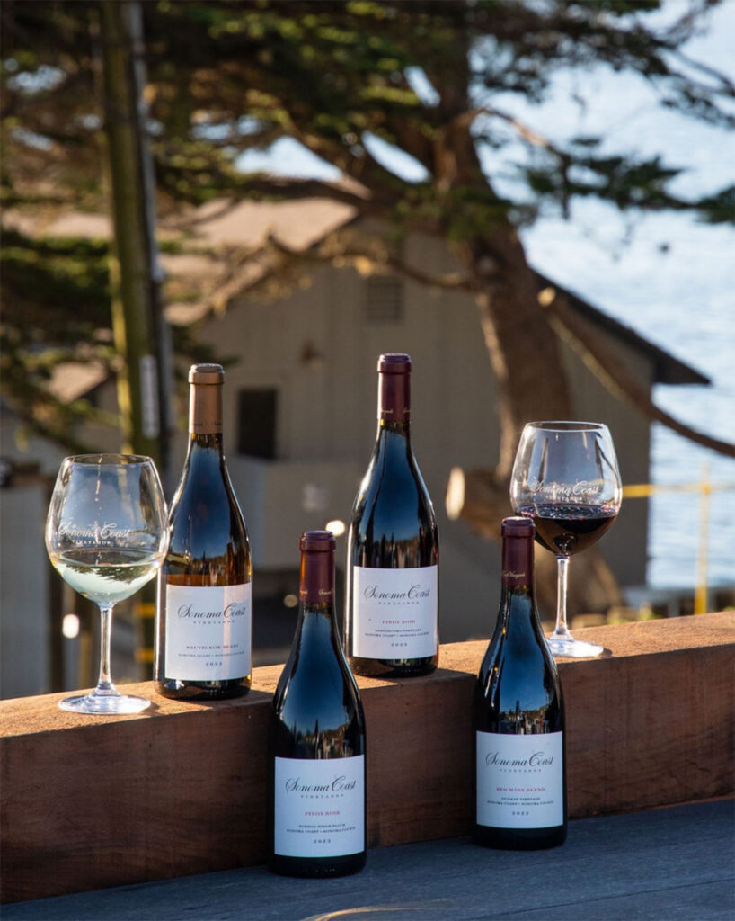 sonomacoastvineyards6 818x1024