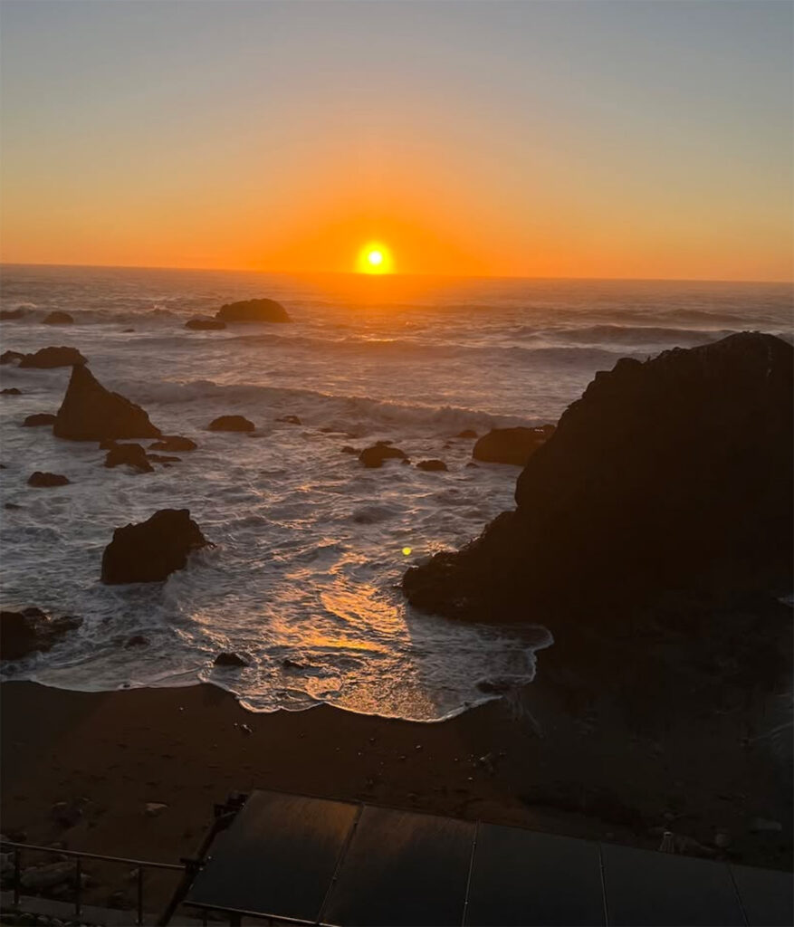 sonomacoastvineyards9 877x1024