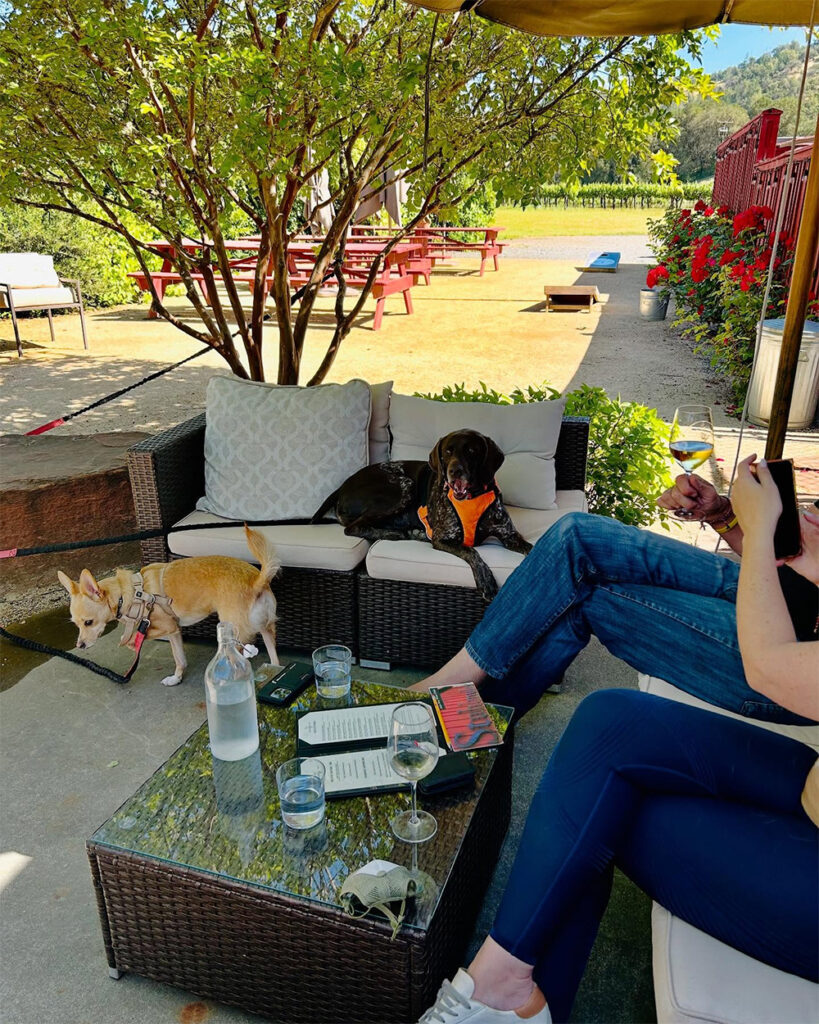 stuhlmullervineyards1 819x1024