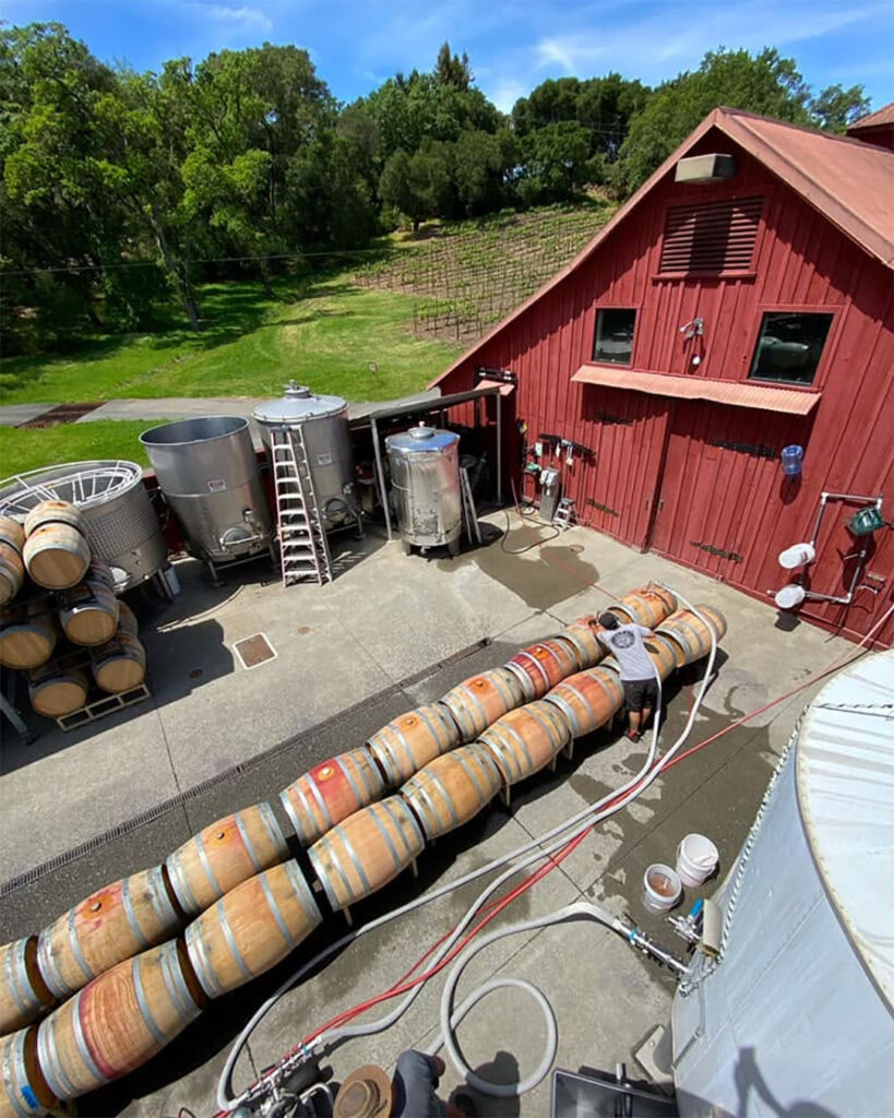 stuhlmullervineyards3 819x1024