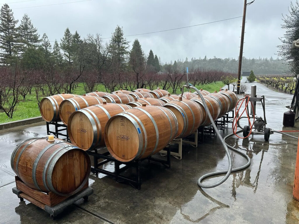 taltyvineyards3 1024x768