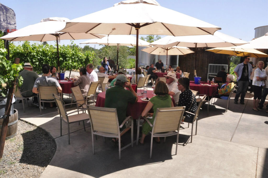 viszlayvineyards100 1024x680