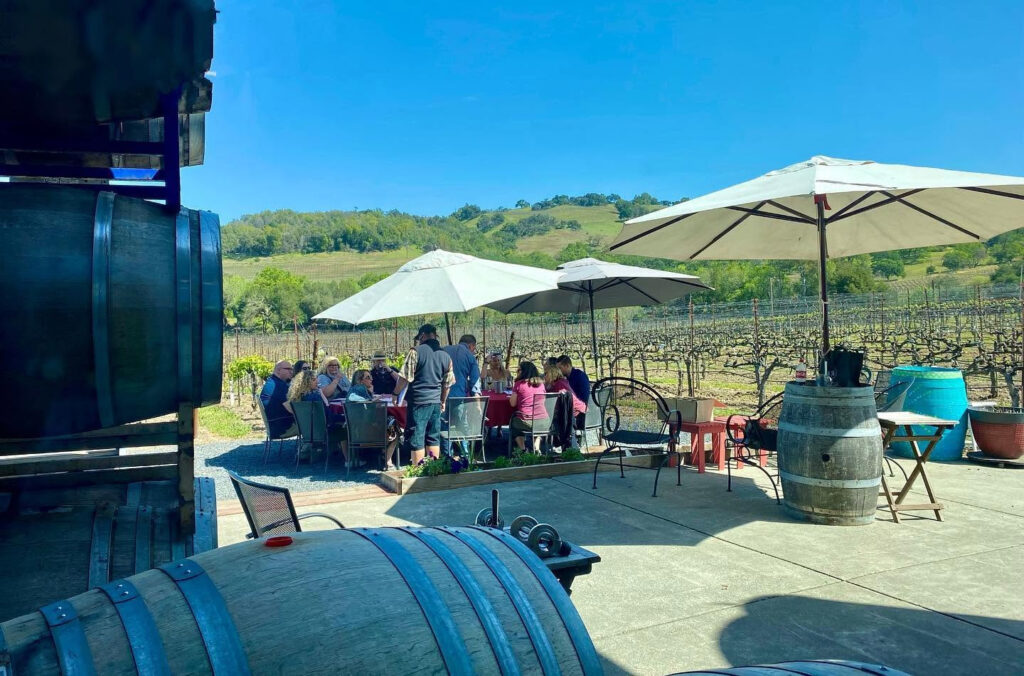 viszlayvineyards105 1024x676