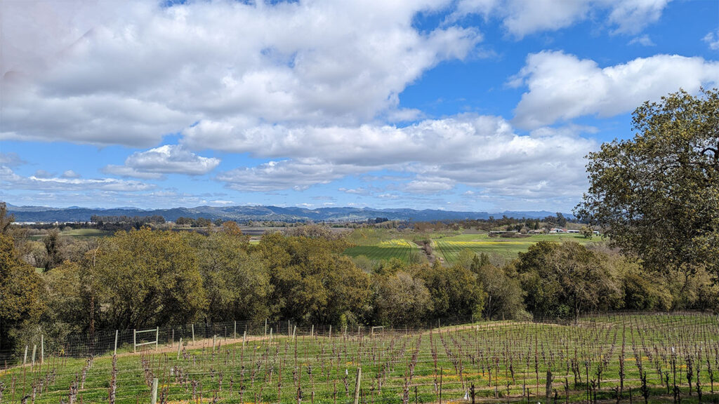 woodenheadwine54 1024x576