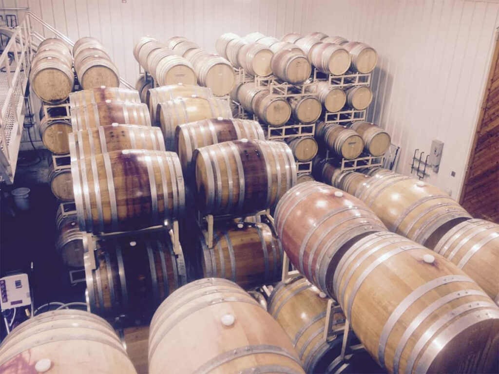 zichichifamilyvineyard18 1024x768