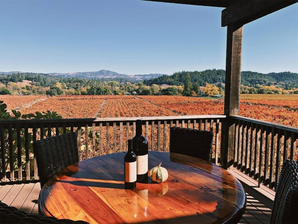zichichifamilyvineyard19 1024x768