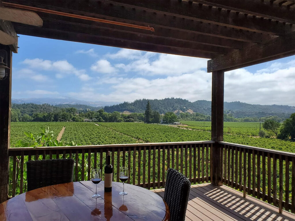 zichichifamilyvineyard2 1024x768