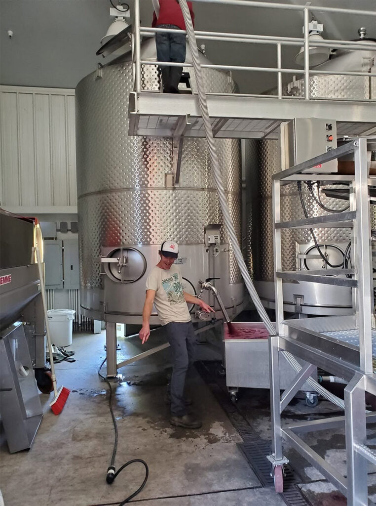 zichichifamilyvineyard4 762x1024